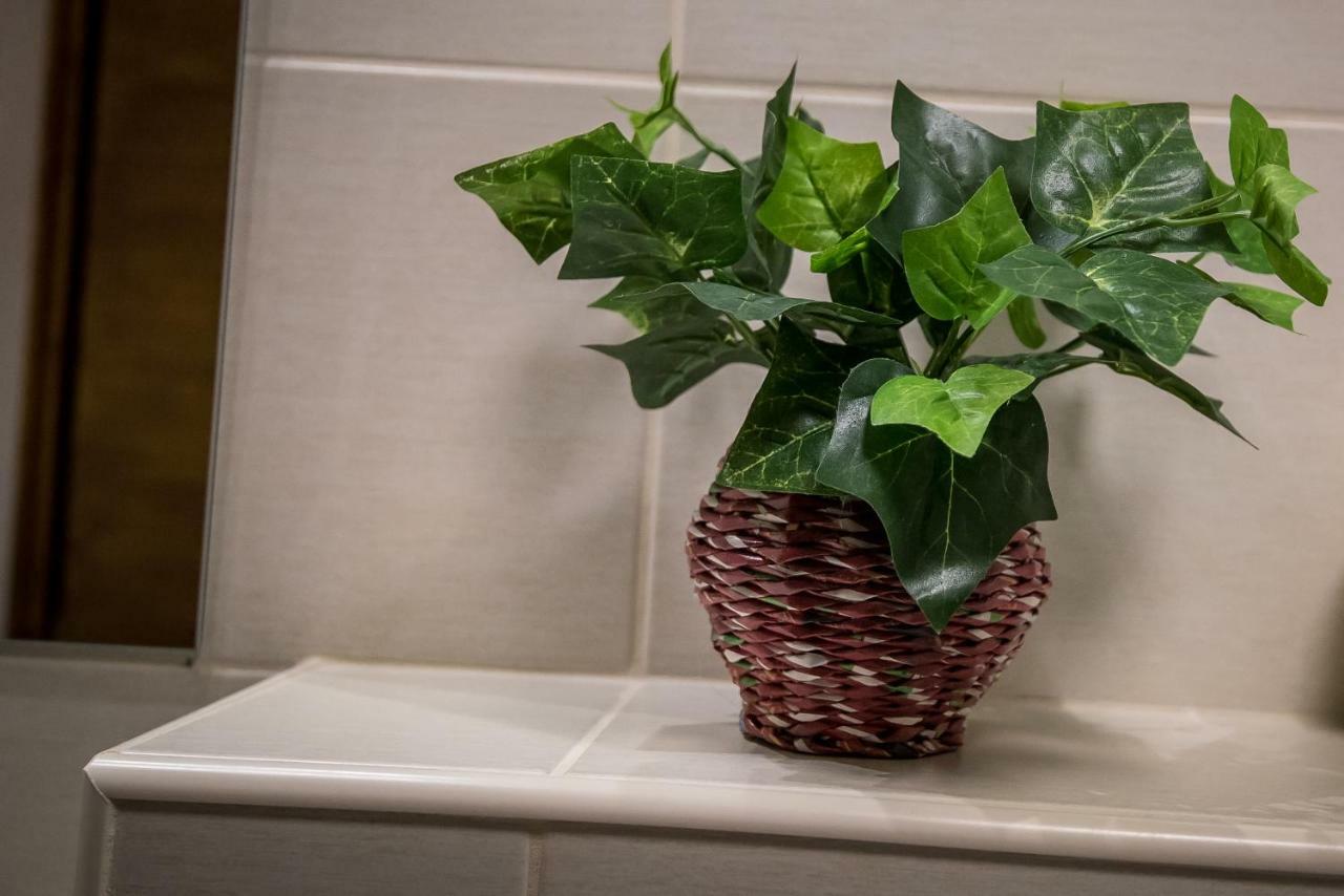 Mokka Apartman セゲド エクステリア 写真